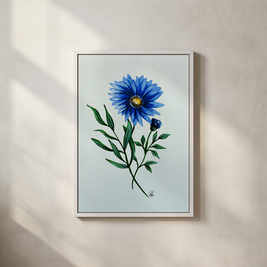 Aster Birth Flower