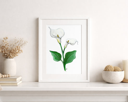 Calla Lily Flower A4 Print hand-painted art print by Daisylion Designs