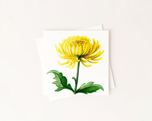 Chrysanthemum Birth Flower Card hand-painted art print by Daisylion Designs